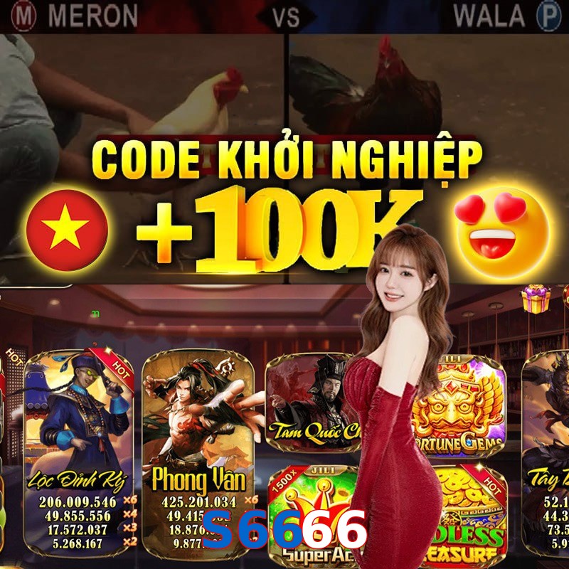S6666